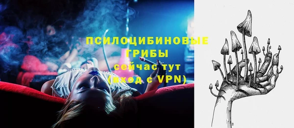 тгк Алексин