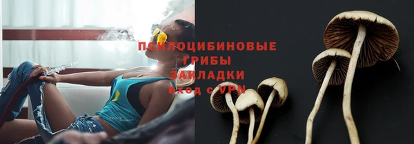 мдпв Семикаракорск