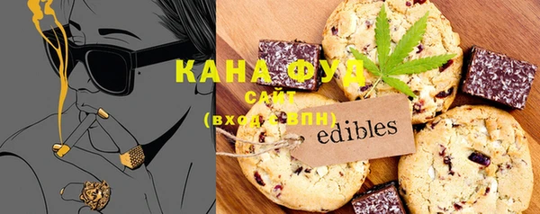 дмт Гатчина