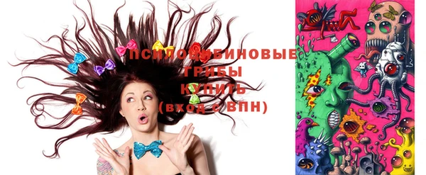 гидропоника Алексеевка