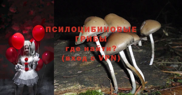дурь Абдулино
