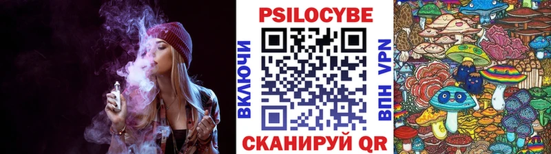 Псилоцибиновые грибы Cubensis  Вышний Волочёк 
